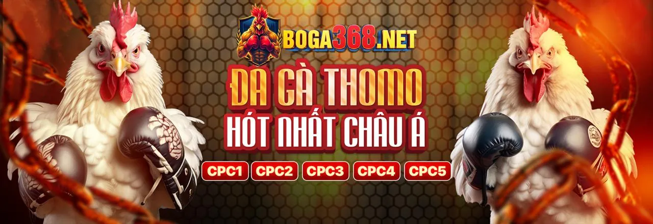 Đá Gà Trực Tuyến Hấp Dẫn tại 35win link mới